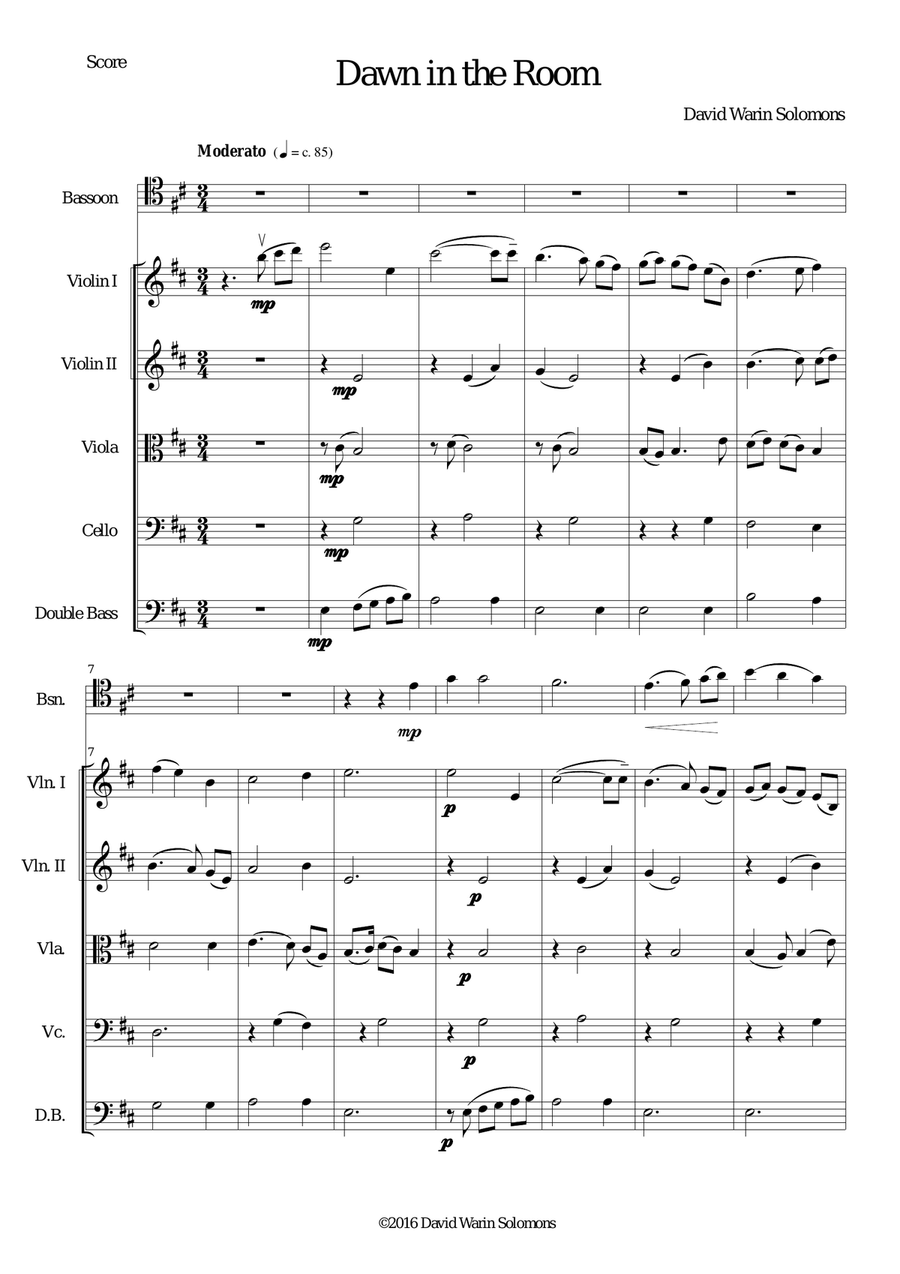 Dawn in the Room for bassoon and strings Chamber Orchestra scores gallery preview page 1