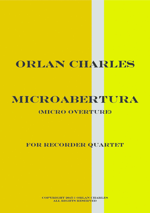 Book cover for Micro Abertura - Micro Overture - Overture in D minor