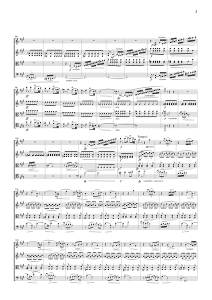 Borodin Notturno (String Quartet No.2, 3rd mvt.)