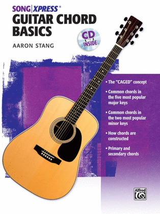 Ultimate Beginner Guitar Chord Basics