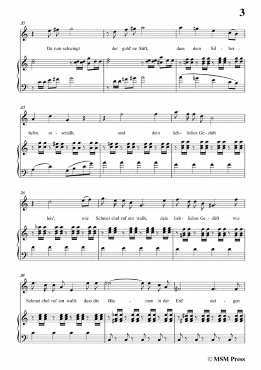 Schubert-Viola(Violet),Op.123(D.786),in C Major,for Voice&Piano image number null