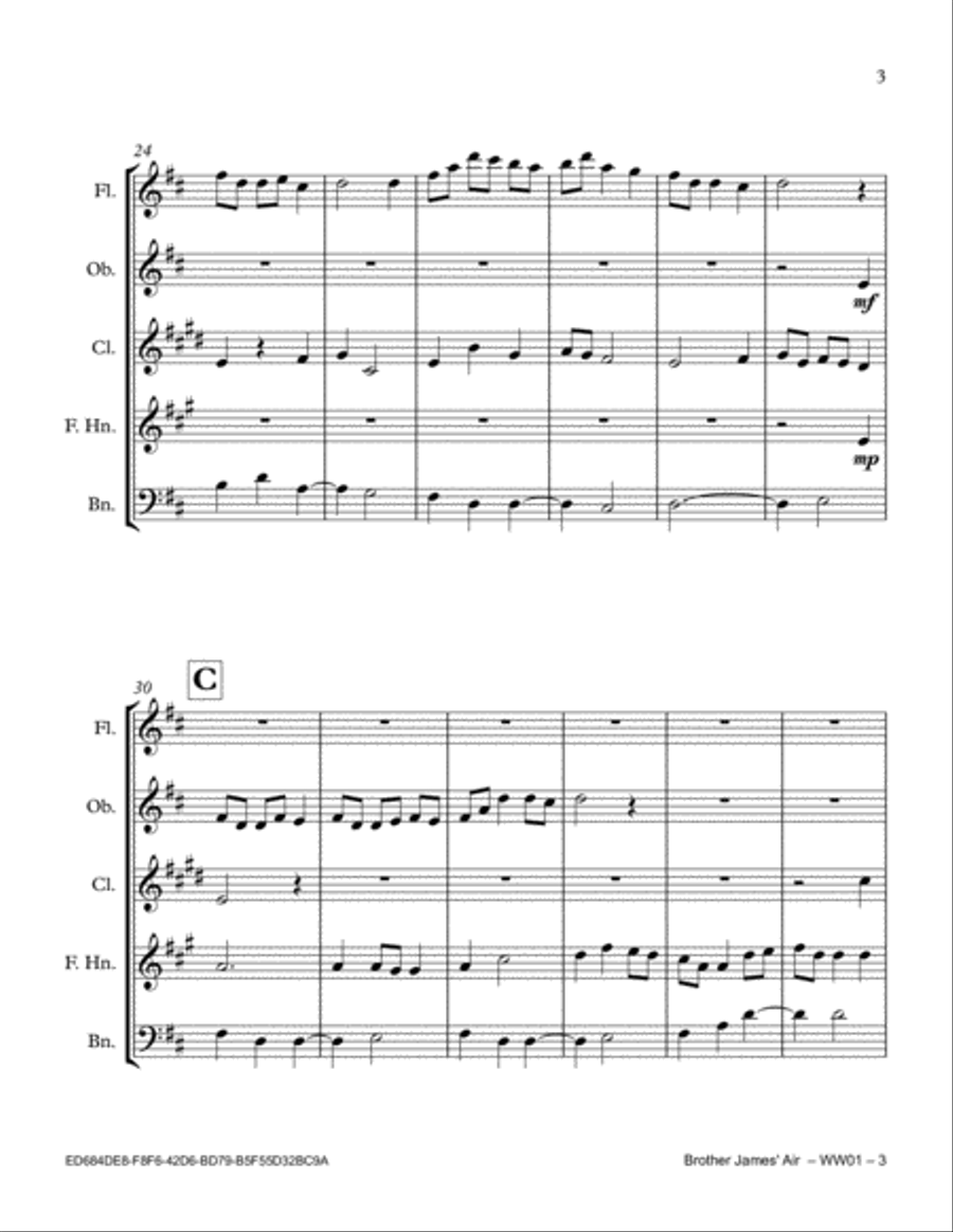 Brother James' Air Brother James' Air Woodwind Quintet scores gallery preview page 3