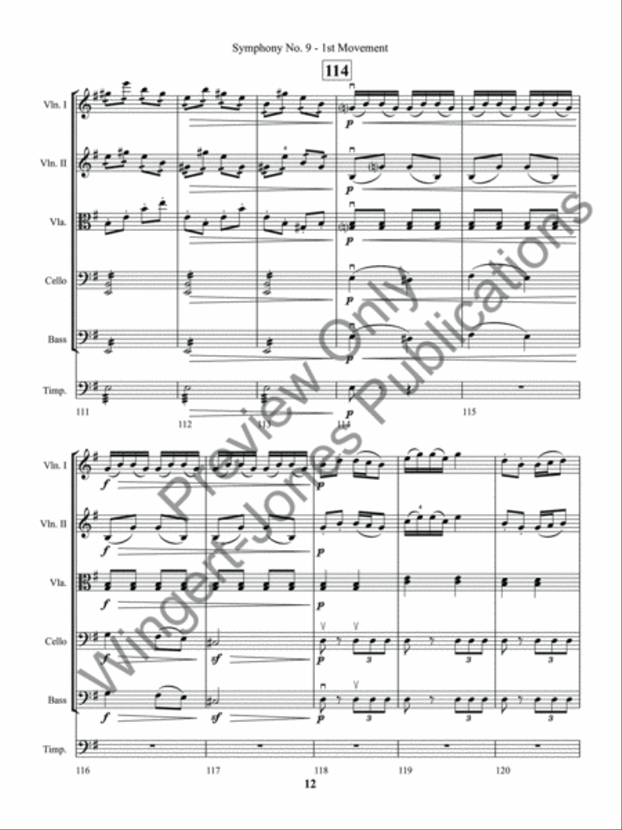 Symphony No. 9 String Orchestra scores gallery preview page 15