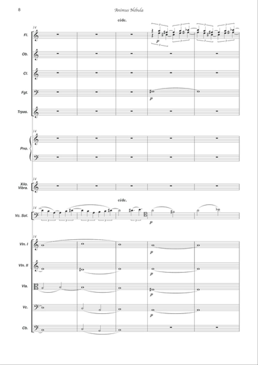 Animus Nebula Animus Nebula Orchestra scores gallery preview page 5