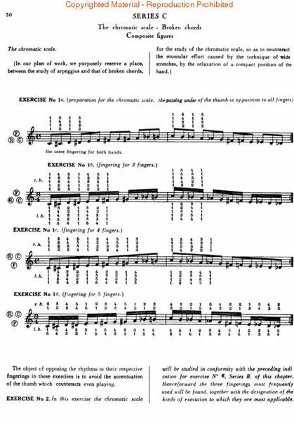 Rational Principles of Piano Technique