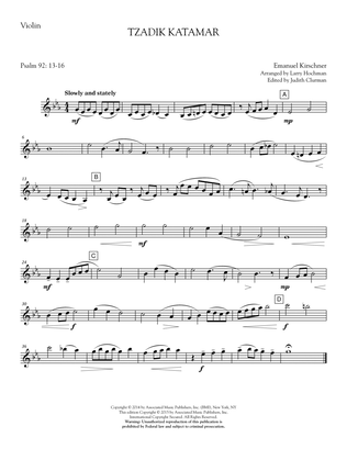 Book cover for Tzadik Katamar - Violin
