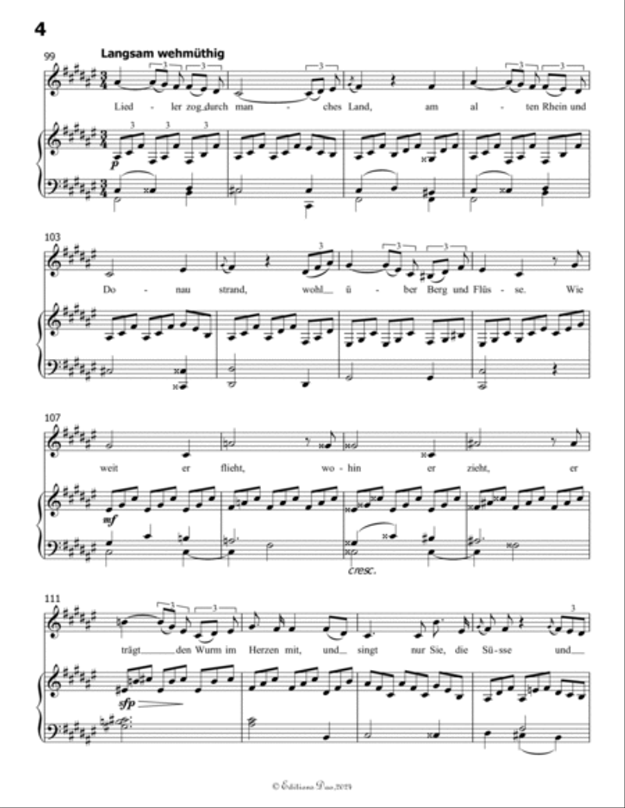 Der Liedler, by Schubert, Op.38(D.209), in g minor Voice scores gallery preview page 6