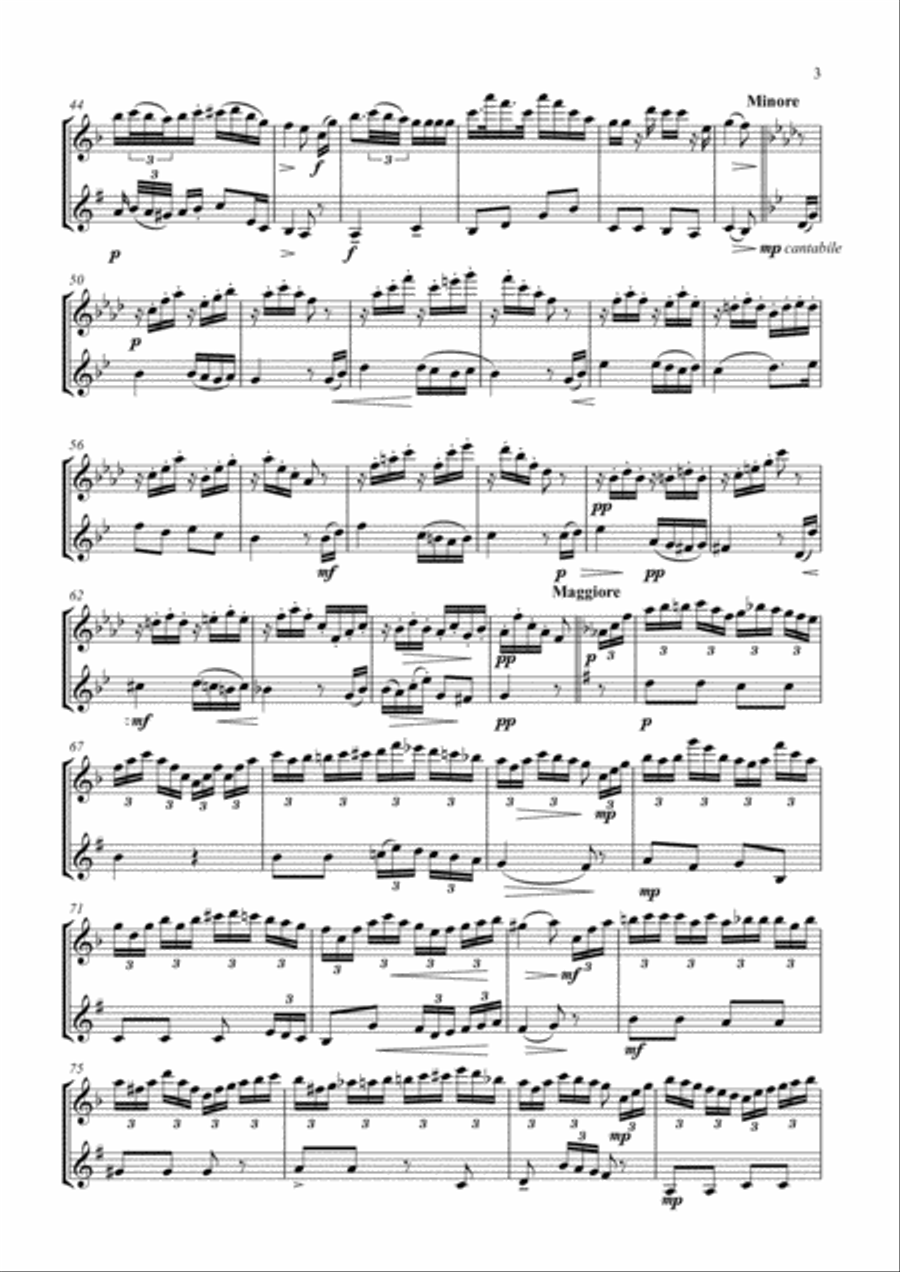 Devienne Air And Variation arr. flute and clarinet Woodwind Duet scores gallery preview page 3
