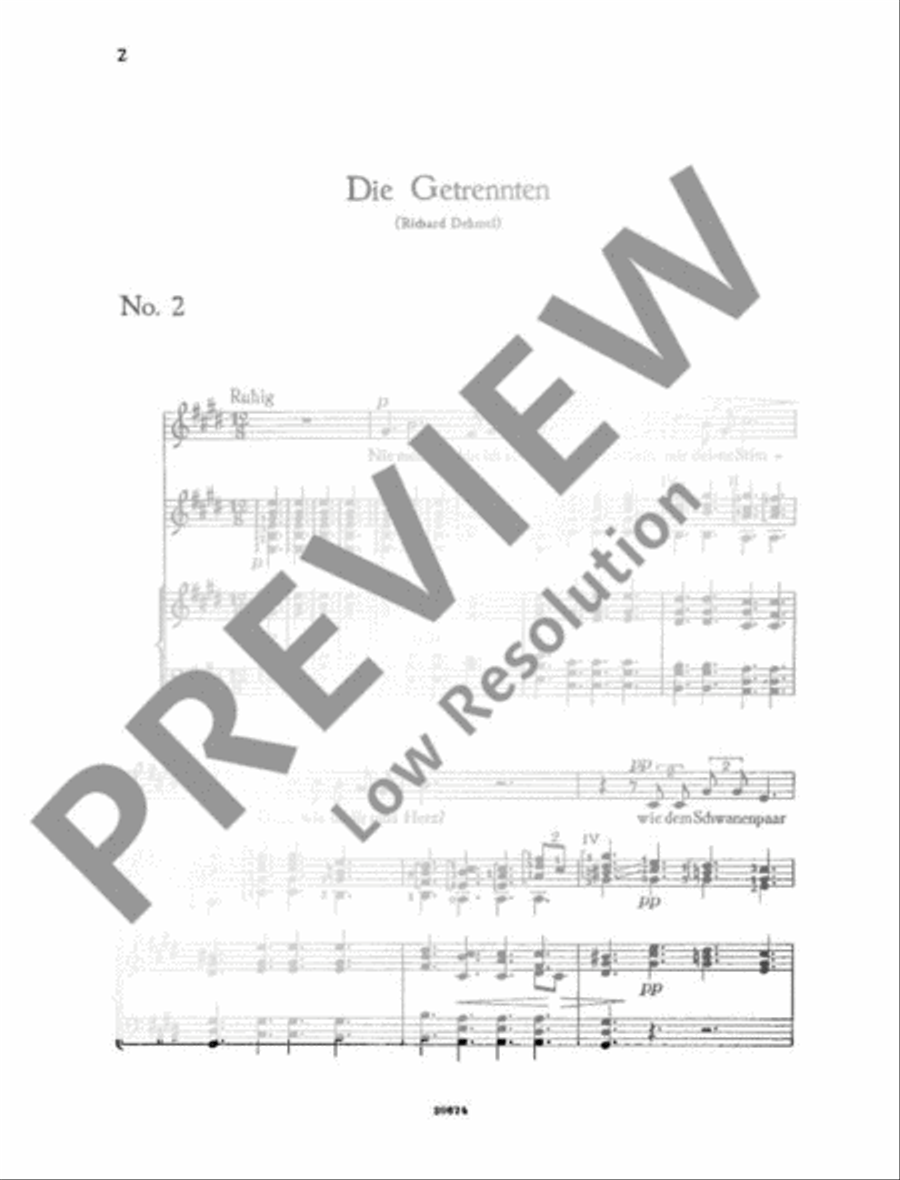 Lieder zur Laute Lieder zur Laute Voice Solo scores gallery preview page 5