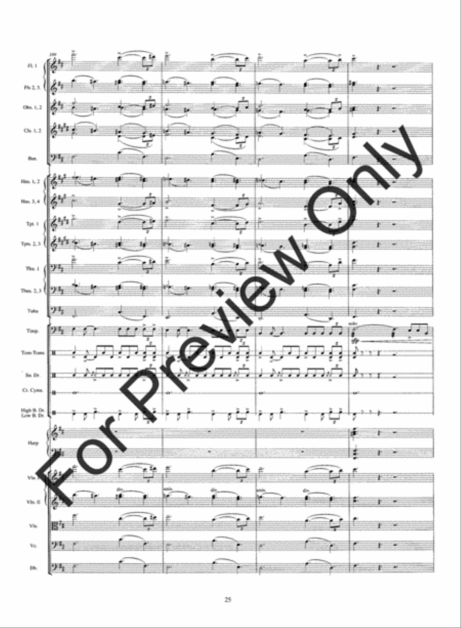Warrior's Run String Orchestra scores gallery preview page 28
