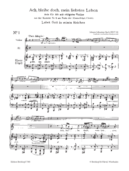 Sonata in B minor
