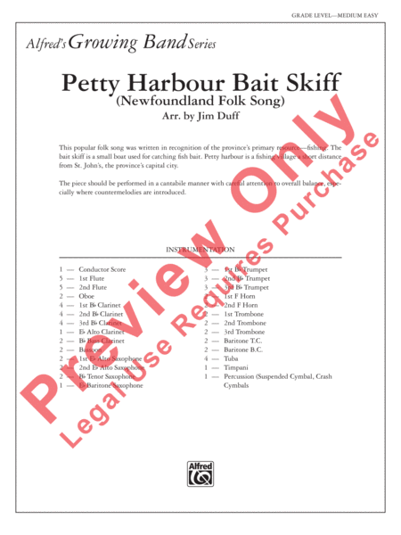 Petty Harbour Bait Skiff