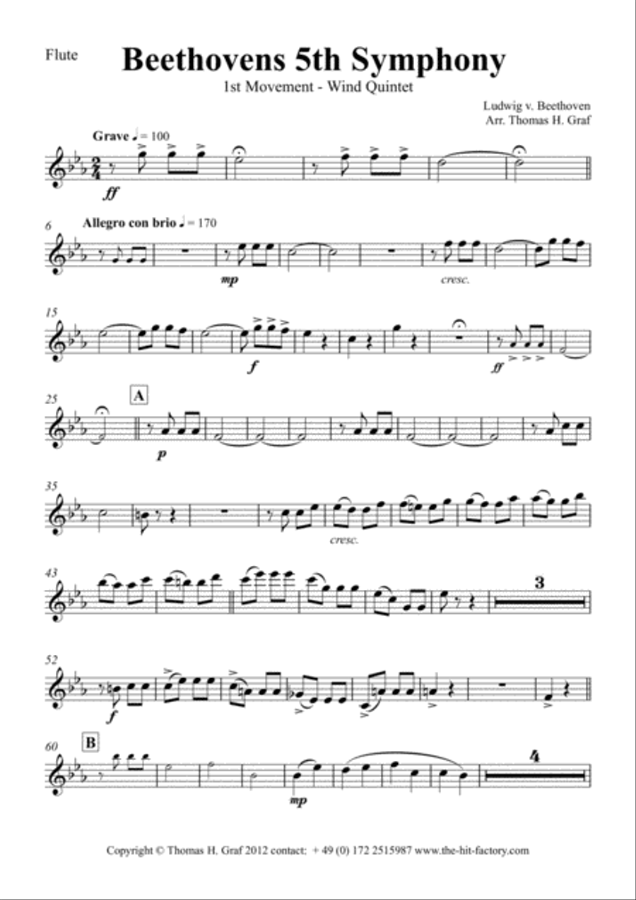 Beethovens 5th Symphony - 1st Movement - Wind Quintet Woodwind Quintet scores gallery preview page 5