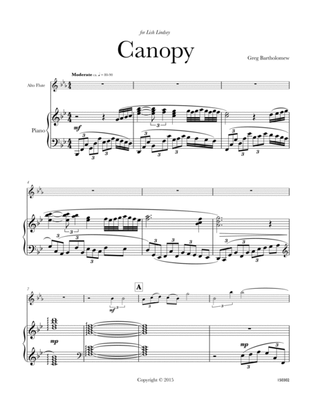 Canopy for alto flute & piano image number null