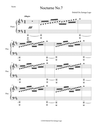 Nocturne No.7 B Minor Op.144