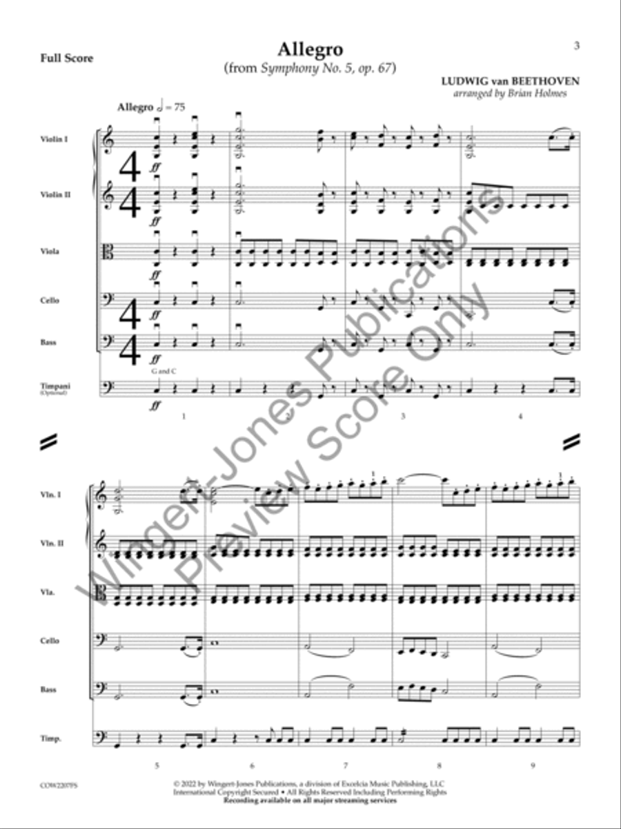 Allegro String Orchestra scores gallery preview page 2
