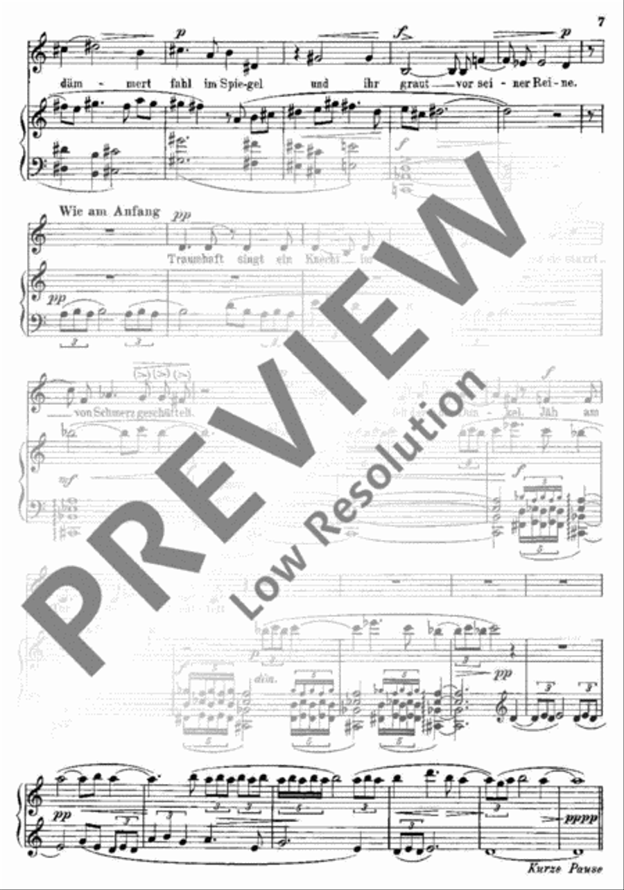 Die junge Magd Flute scores gallery preview page 8