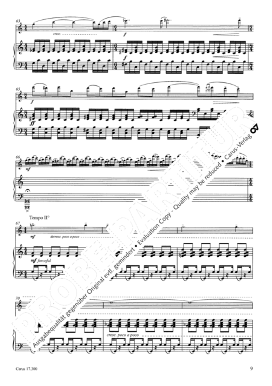 Subway Solitary Flute Solo scores gallery preview page 10