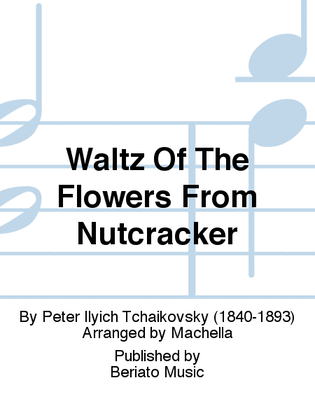 Book cover for Waltz Of The Flowers From Nutcracker