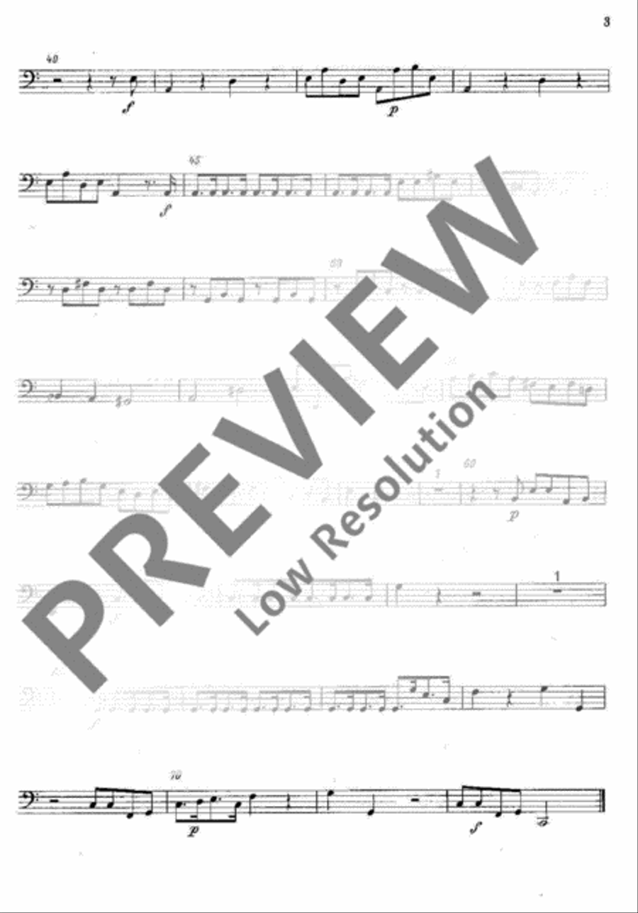 Concerto ripieno String Orchestra scores gallery preview page 15