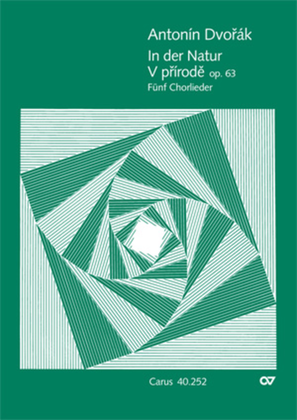 Book cover for In der Natur. Funf Chorlieder op. 63