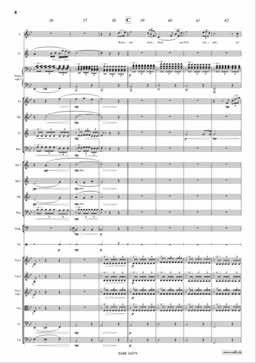 Der Hirt auf dem Felsen Der Hirt auf dem Felsen Orchestra scores gallery preview page 9
