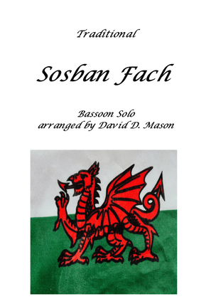 Book cover for Sosban Fach