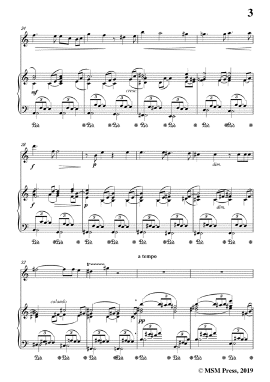 Richard Strauss-Die Georgine, for Flute and Piano Flute Solo scores gallery preview page 5