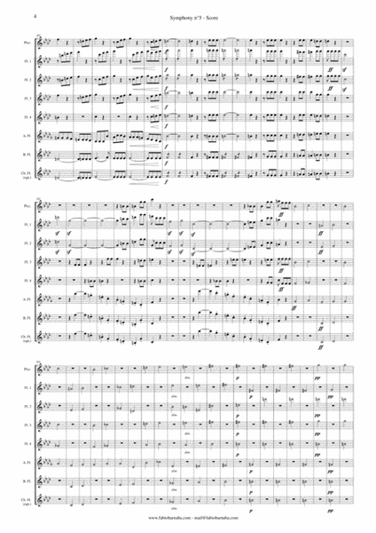 Beethoven's Fifth Symphony (first movement) - for Flute Choir image number null