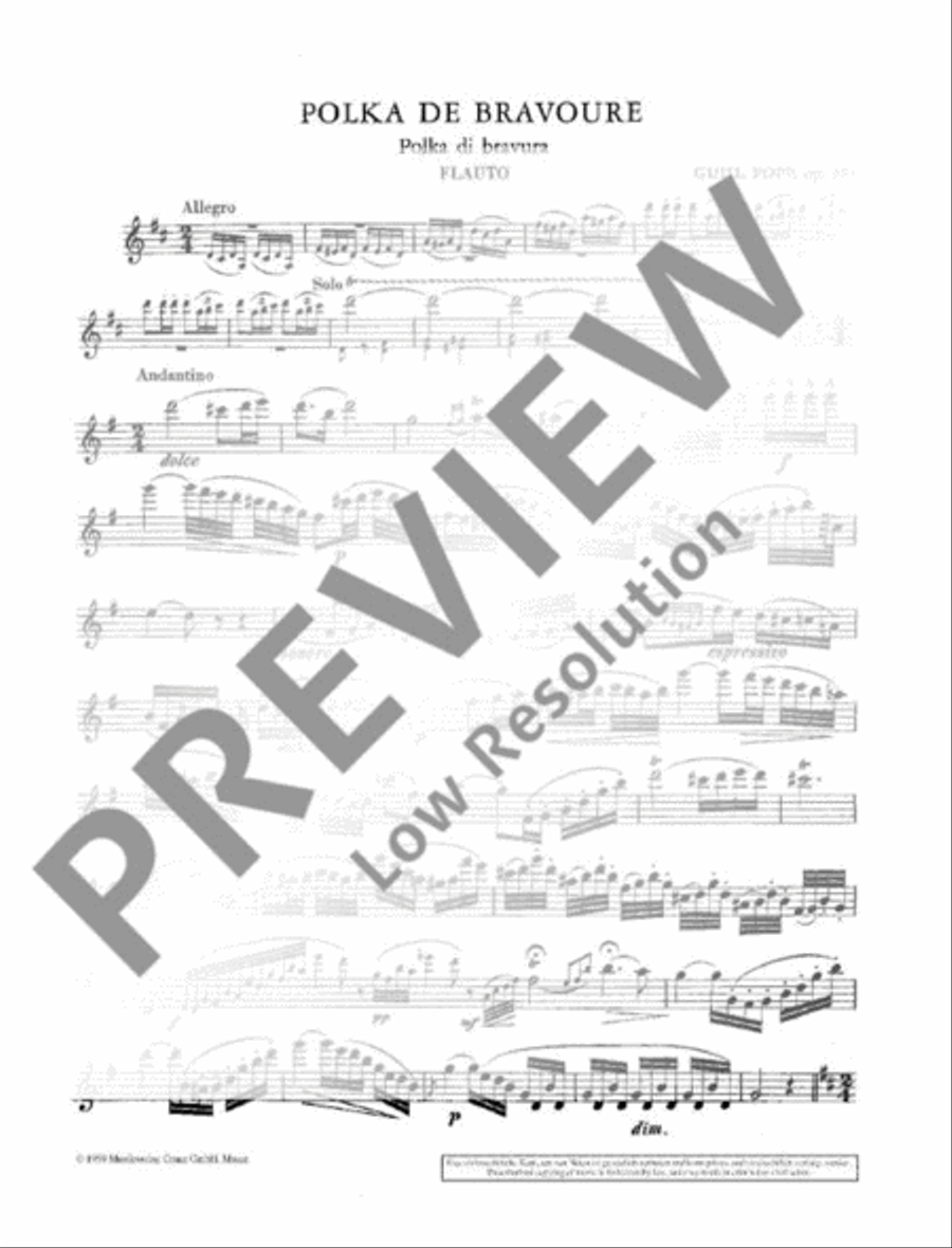 Polka de bravoure Flute Solo scores gallery preview page 11
