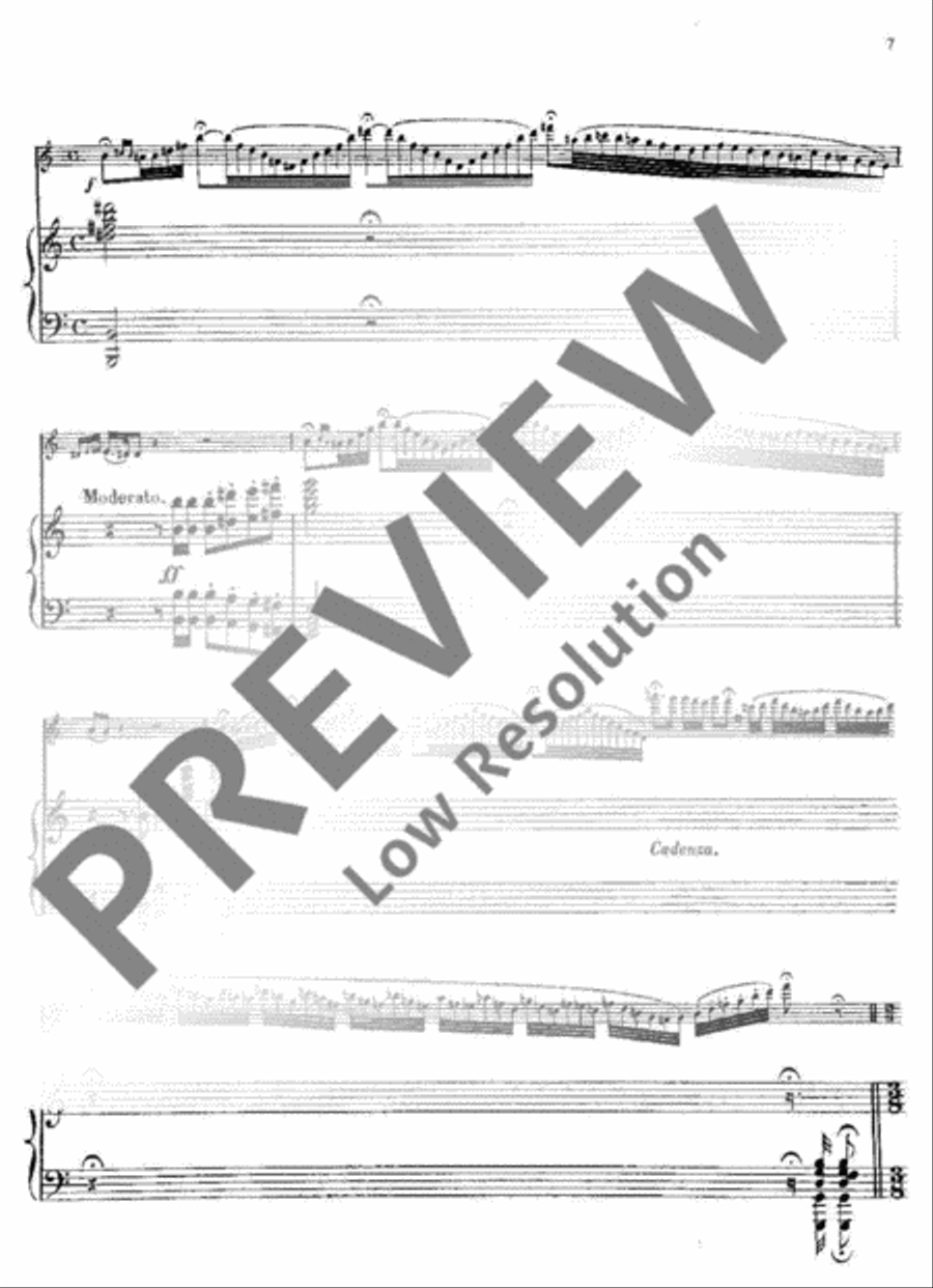Fantaisie sur des airs écossais Flute scores gallery preview page 8