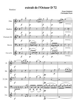 Schubert Octuor for winds D72 - woodwind quintet