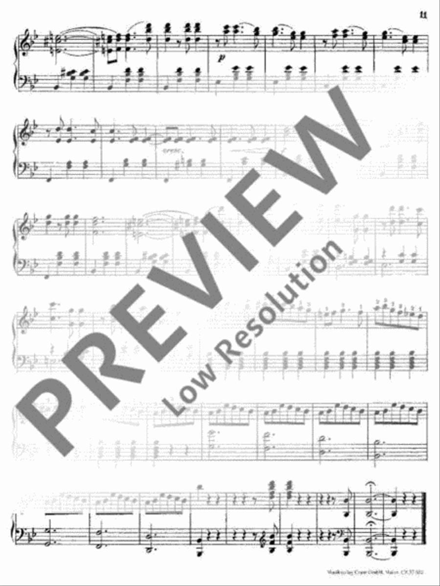 Vogelstimmen Piano Solo scores gallery preview page 12