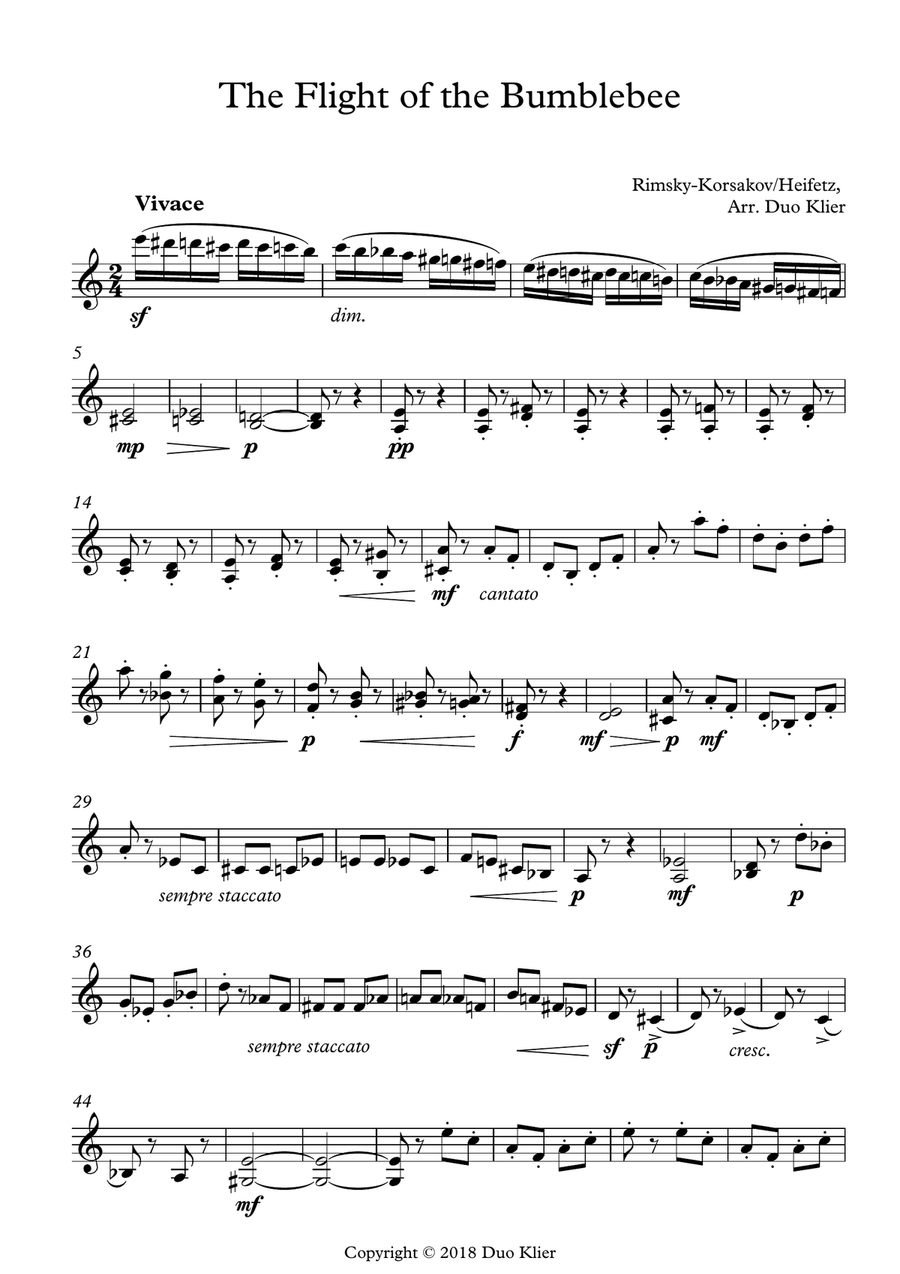Flight of the bumblebee violin sale