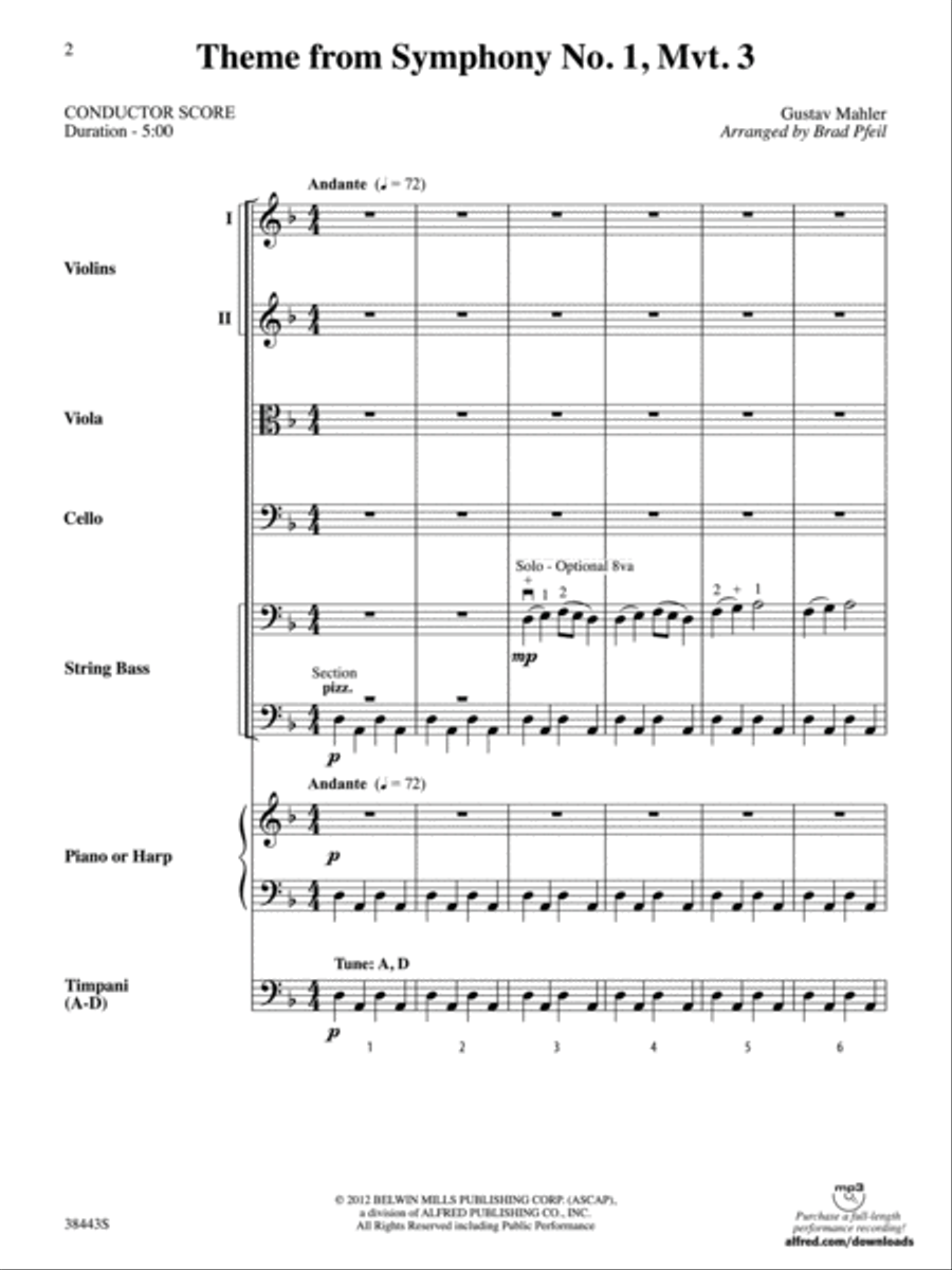 Theme from Symphony No. 1, Movement 3: Score String Orchestra scores gallery preview page 2