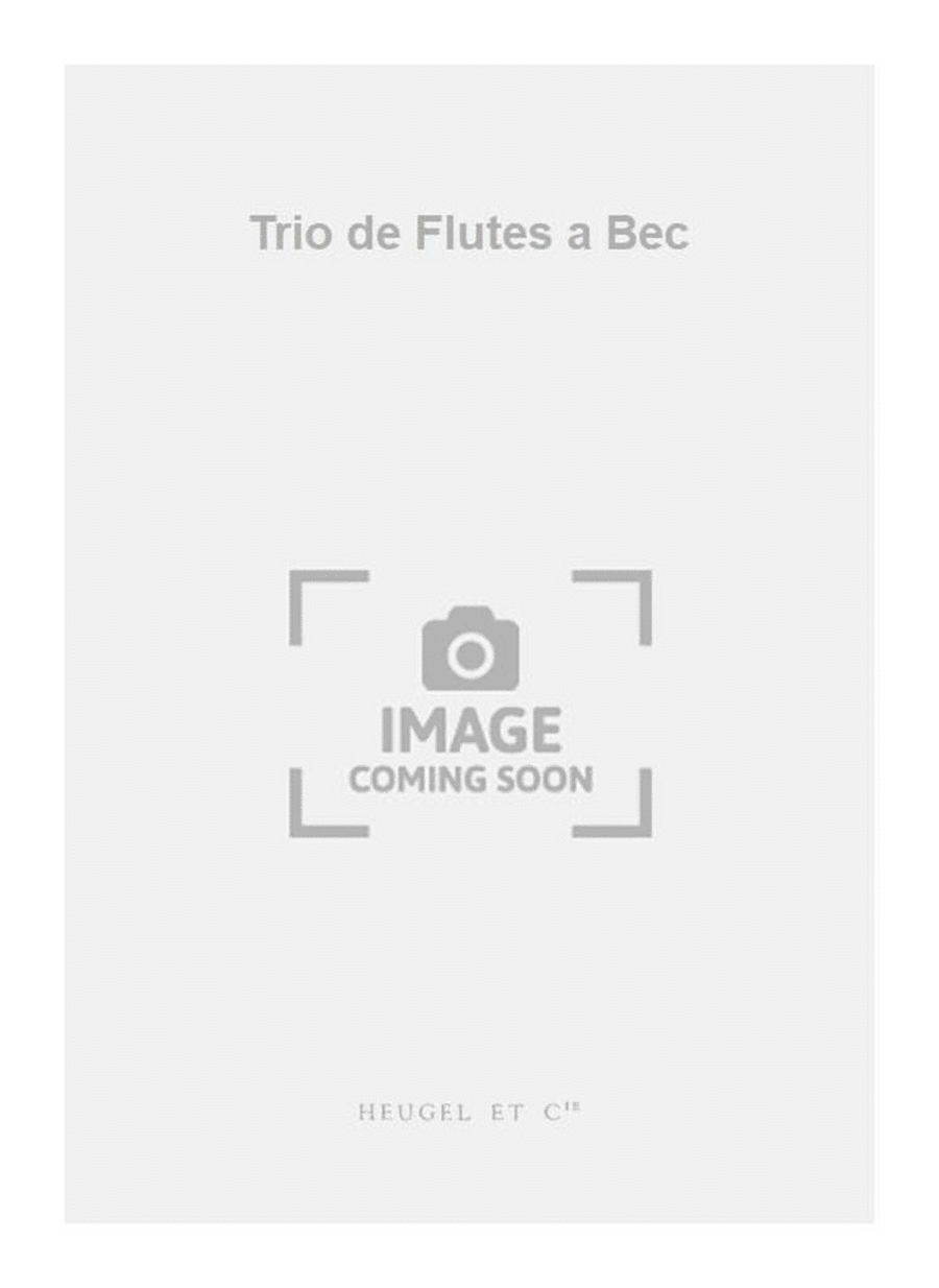 Trio de Flutes a Bec