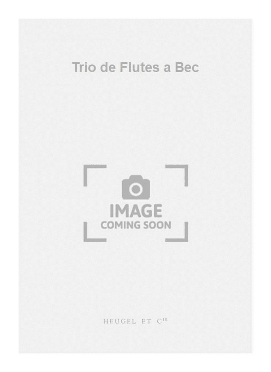 Trio de Flutes a Bec