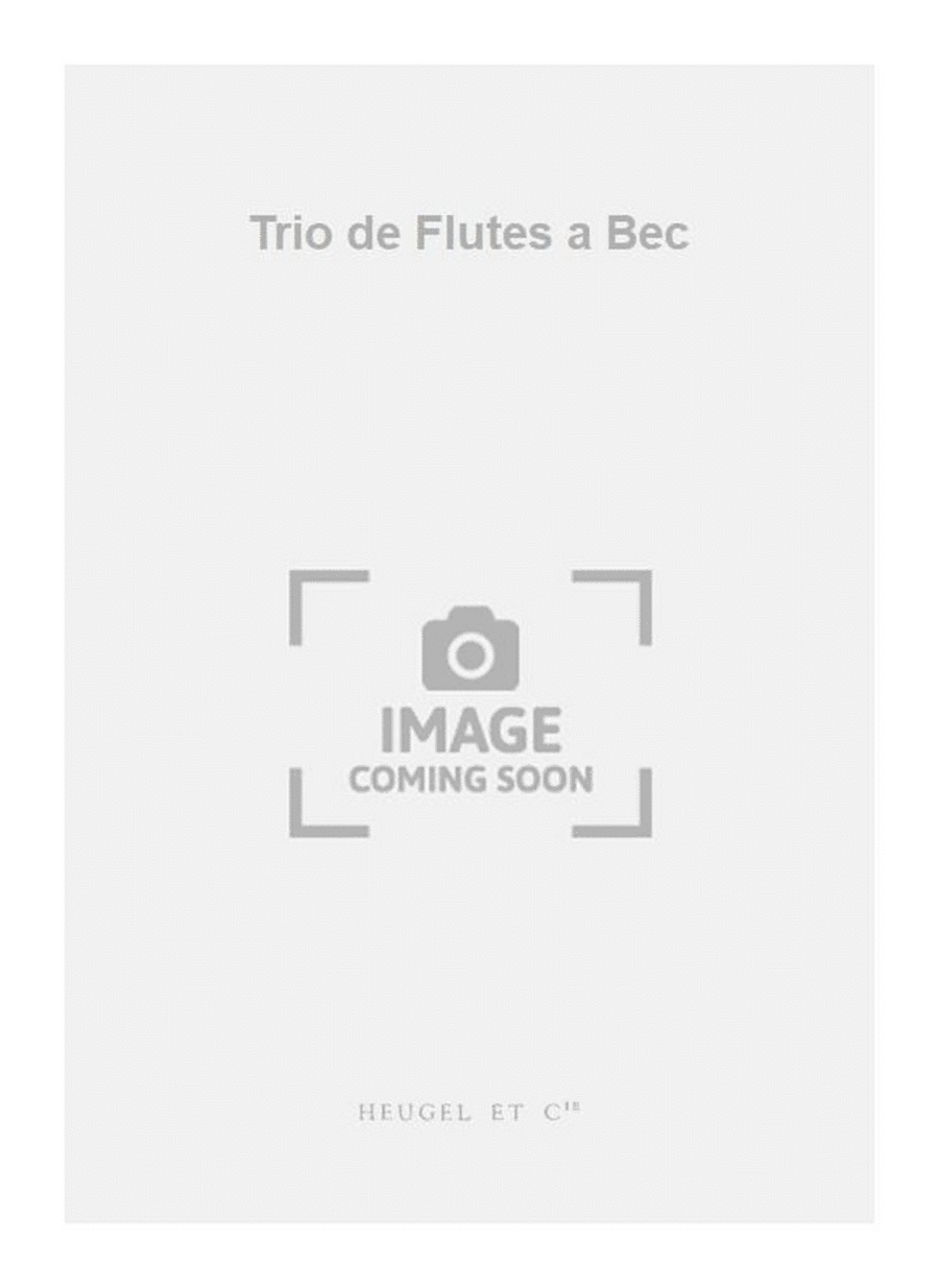 Trio de Flutes a Bec Woodwind Trio scores gallery preview page 1