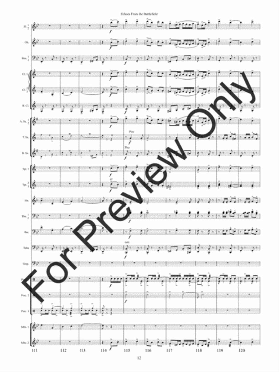Echoes from the Battlefield (Score) Concert Band scores gallery preview page 15