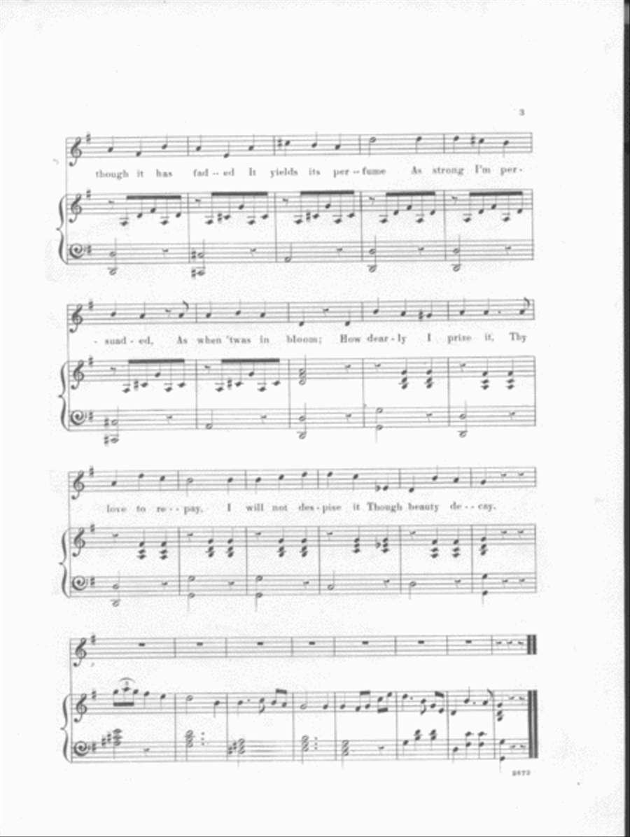 The White Rose is Drooping. Ballad Voice scores gallery preview page 3