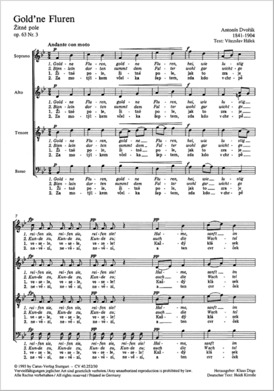 Zitne pole Zitne pole 4-Part scores gallery preview page 2