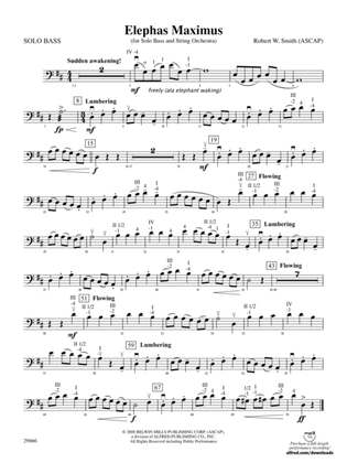Elephas Maximus (For Solo Bass and String Orchestra): Solo Bass