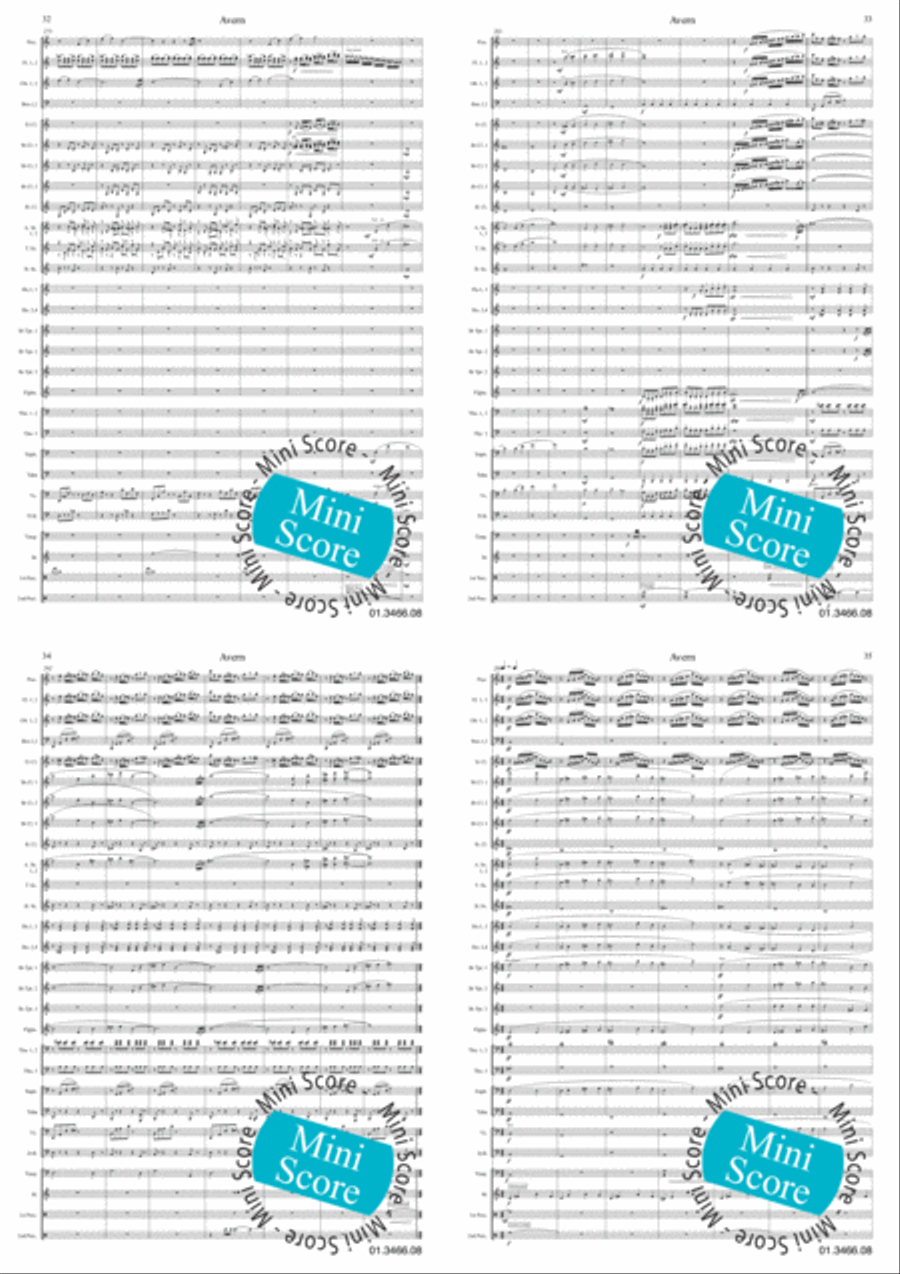 Avern Concert Band scores gallery preview page 10