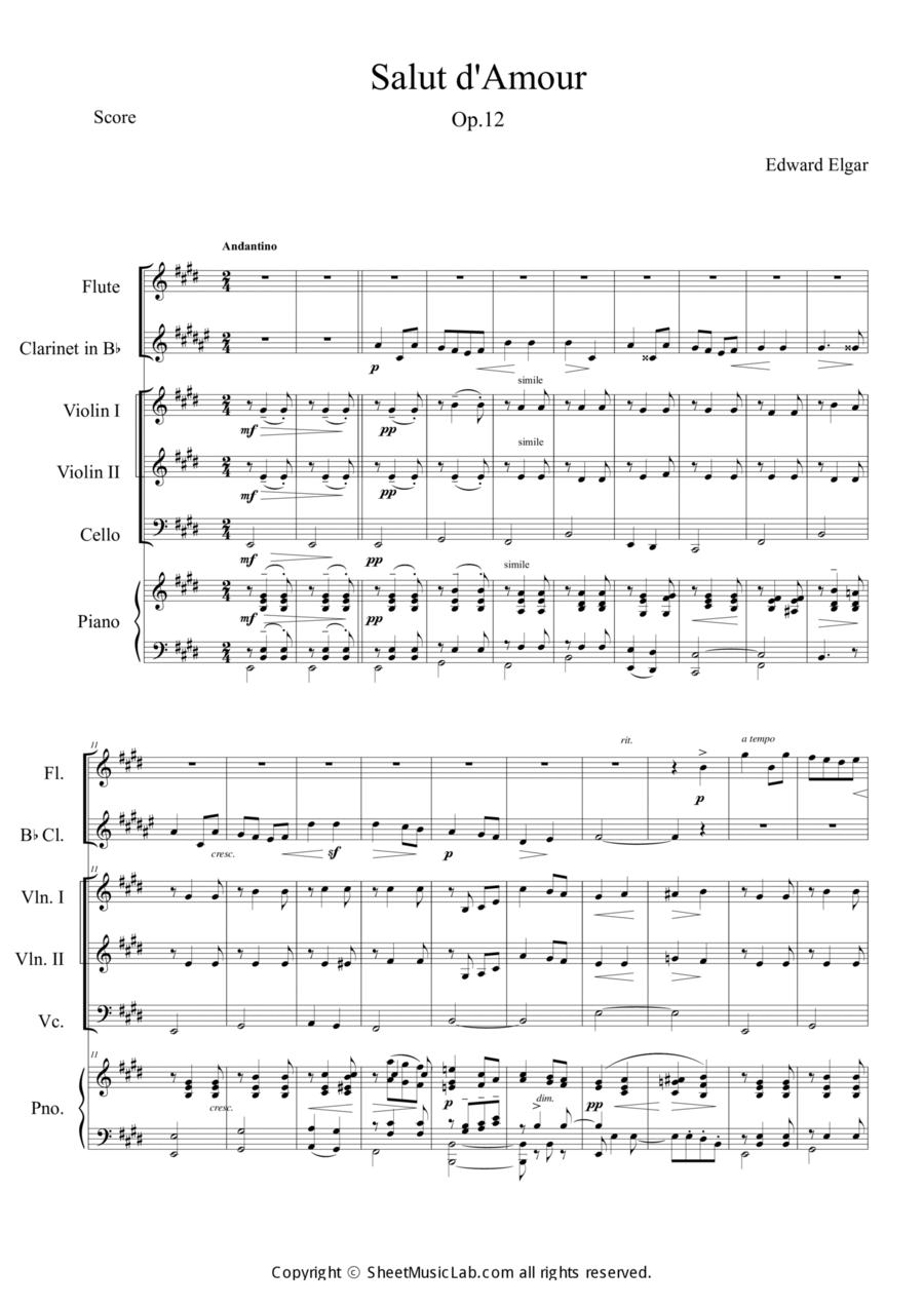 Salut d'amour Orchestra scores gallery preview page 1