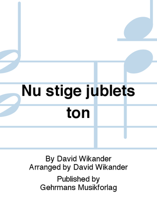 Book cover for Nu stige jublets ton