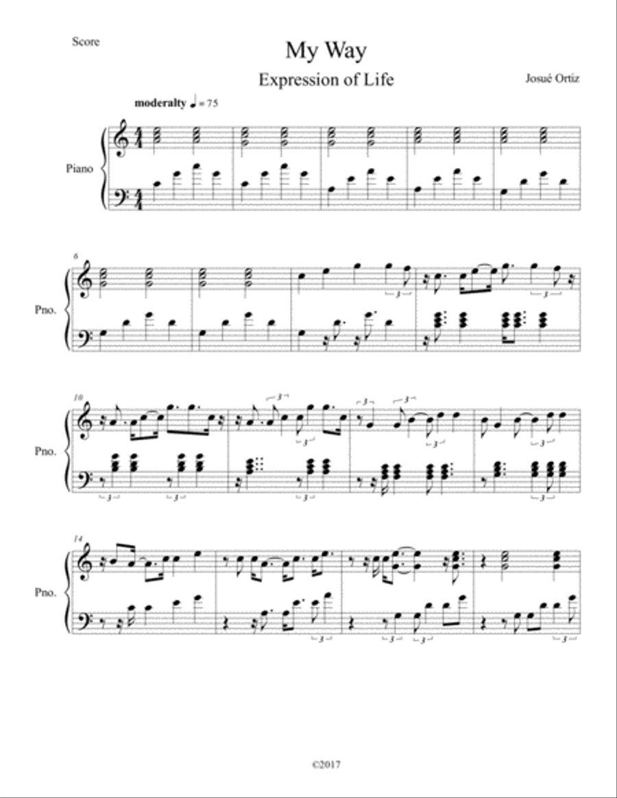 My Way (Expression of Life) Piano Solo scores gallery preview page 1
