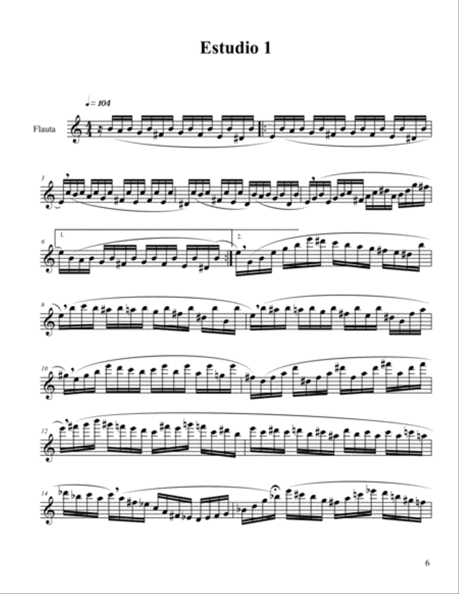 Estudios Concertantes para flauta. Woodwind Ensemble scores gallery preview page 6