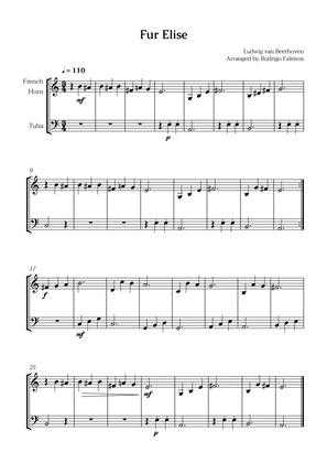 Fur Elise (for french horn and tuba)