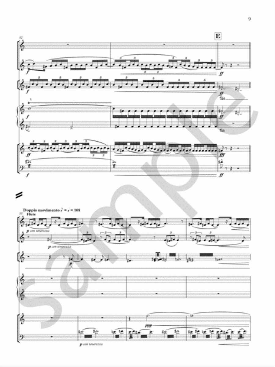Cantus Chamber Music scores gallery preview page 11