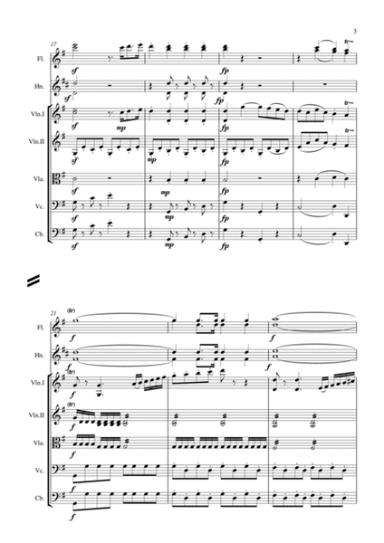 Concerto for Mandolin in G major